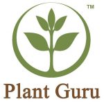 Plant Guru – Organic Butters