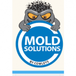 Mold Solutions by Cowleys