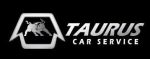 Taurus Car Service