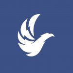 Thunderhawk SEO