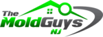 The Mold Guys NJ