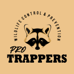 ProTrappers – Animal Removal & Control
