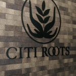 Citi Roots Cannabis Dispensary